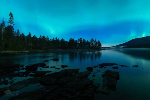 Auroral Night in Northern Norway