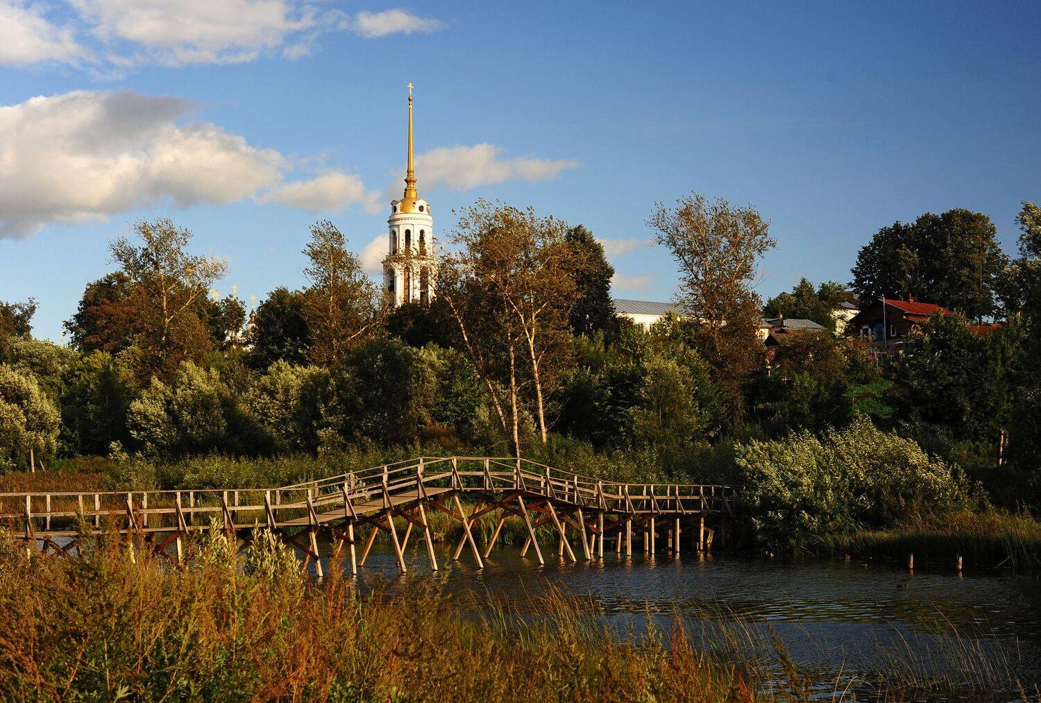 шуя, лавы, мост, теза, воздвиженские лавы, Оксана Евкодимова