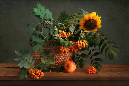 С подсолнухом