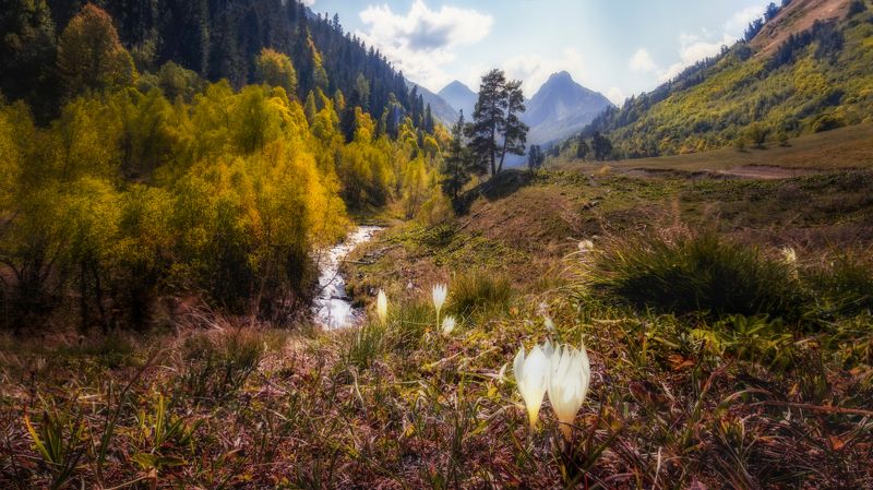 пейзаж, осень,горы,путешествия,  Скоро осень фото превью