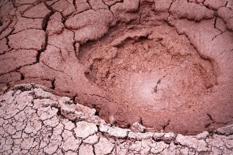 Живая Земля фото превью