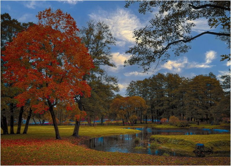 Осень в Риге. фото превью