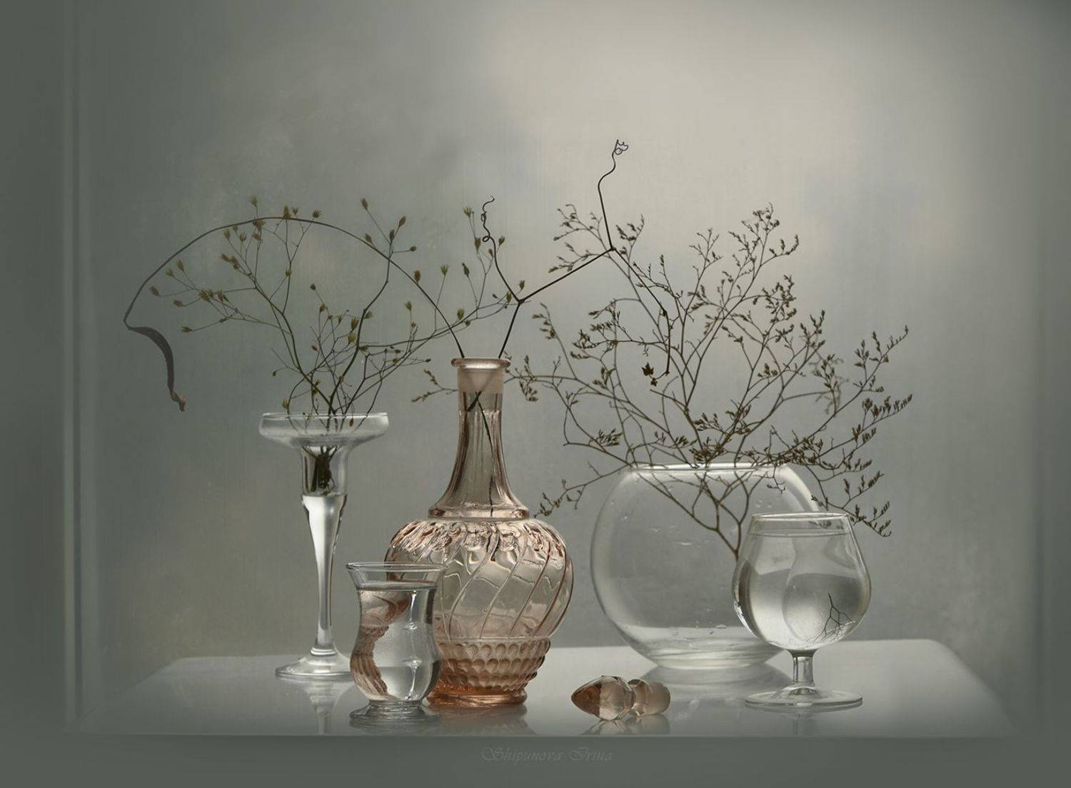 , Шипунова Ирина