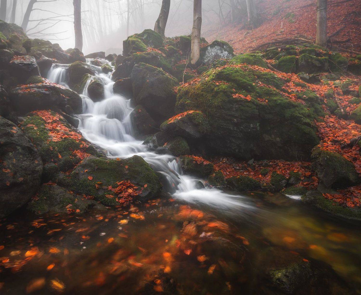 landscape nature scenery forest wood spring waterfall river riverside longexposure mountain balkan vitosha bulgaria река лес весна, Александър Александров