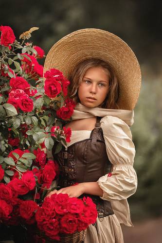 Роза алая