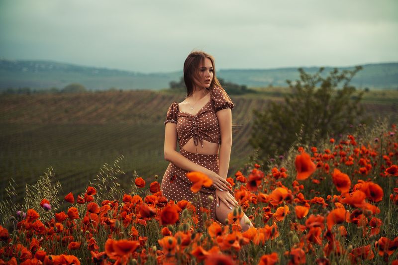 фото превью