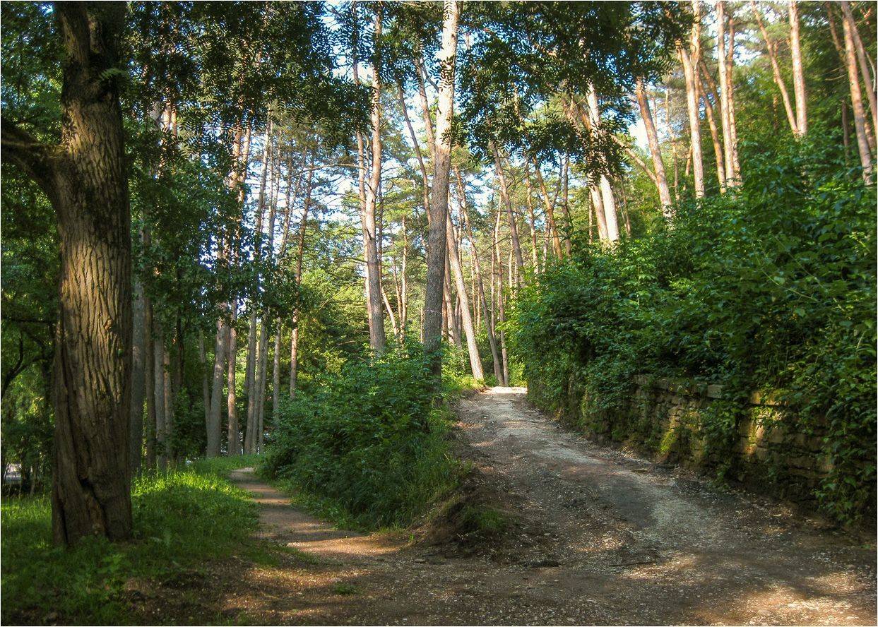 кисловодск, КарОл