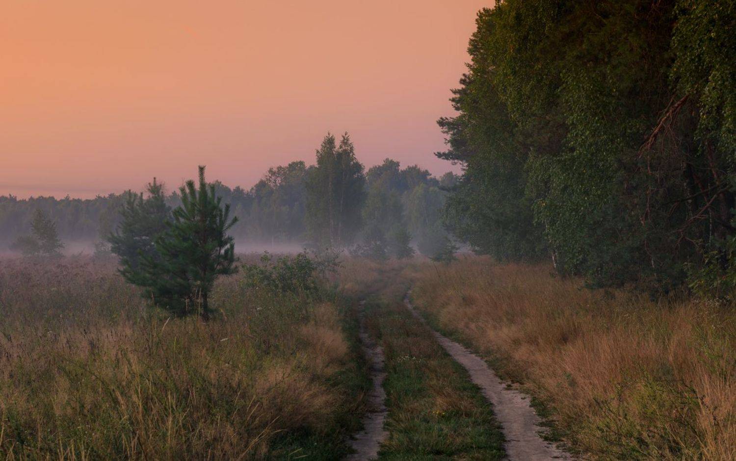 луг лето август рассвет туман, Галанзовская Оксана
