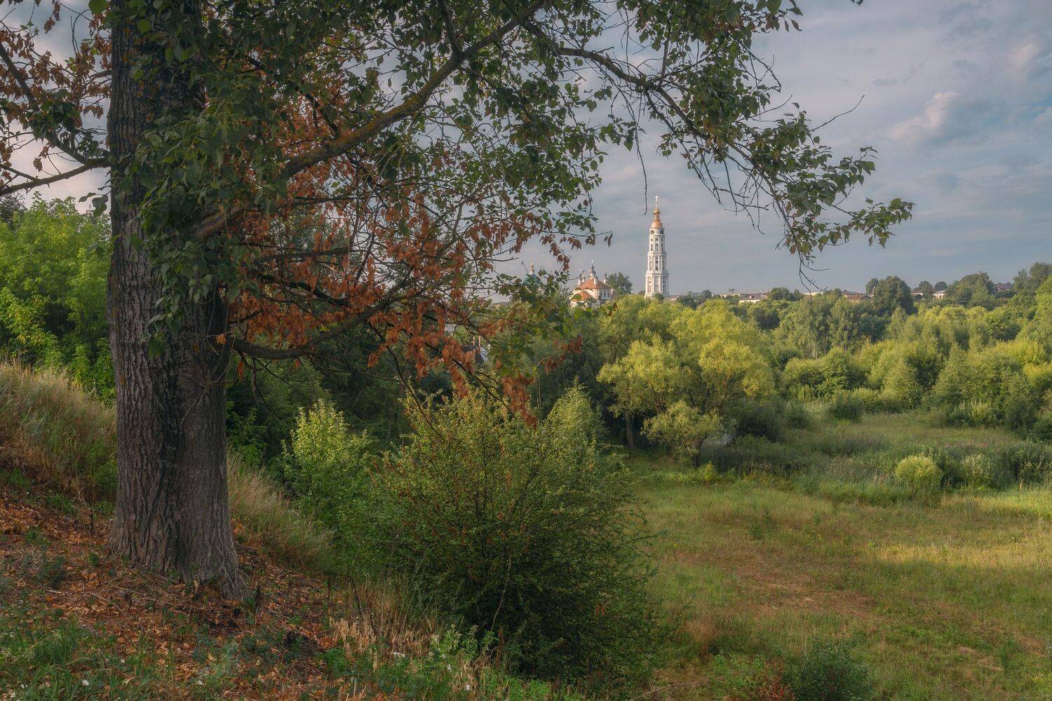 природа, лежневой, россия, пейзаж, ивановская область, Мартыненко Дмитрий