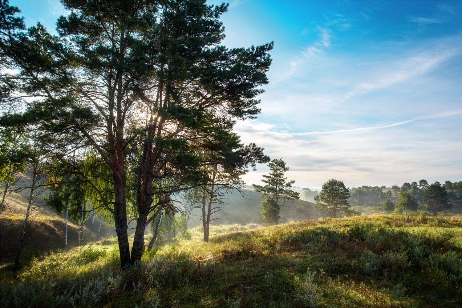 , Юрий Юрьев