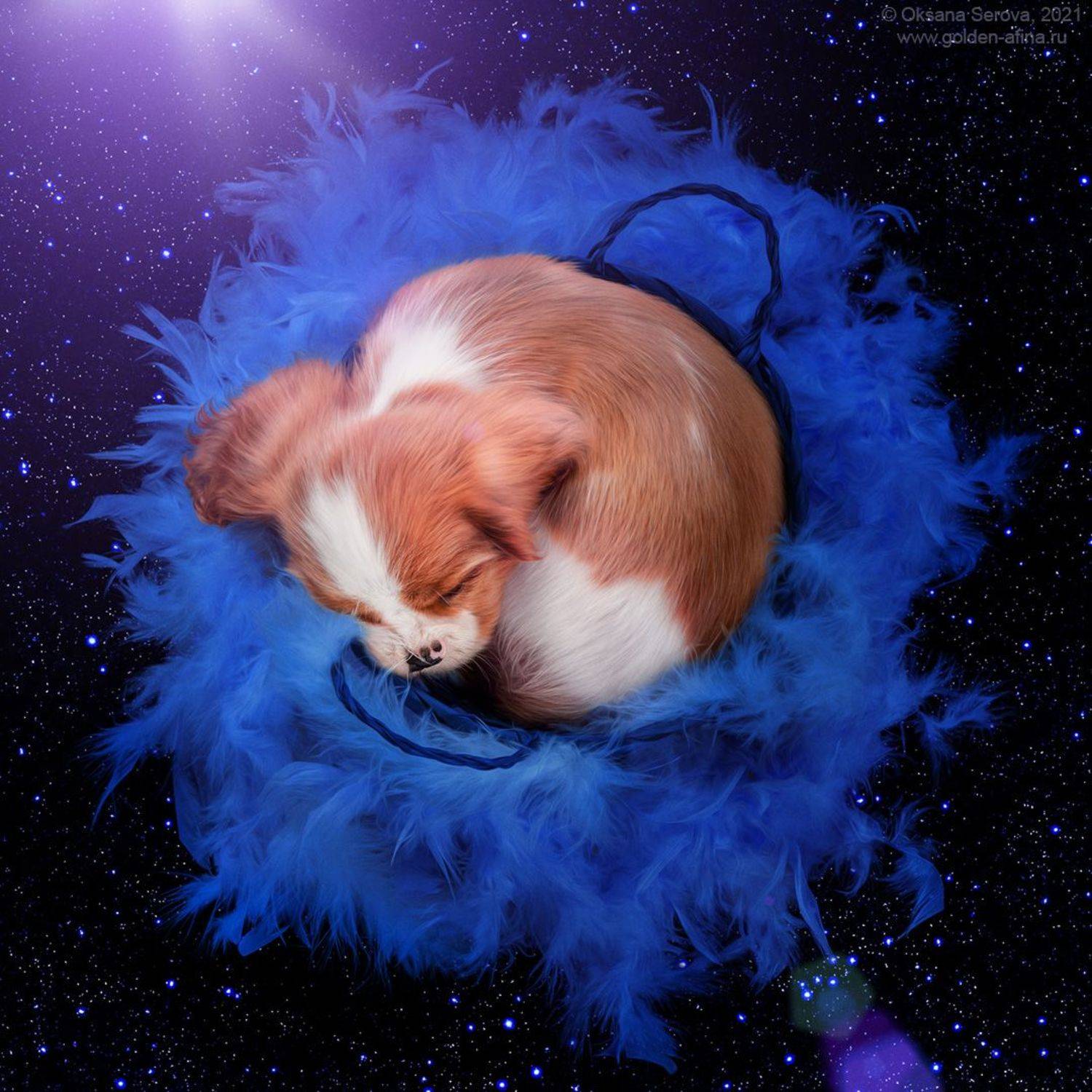 , Оксана Серова