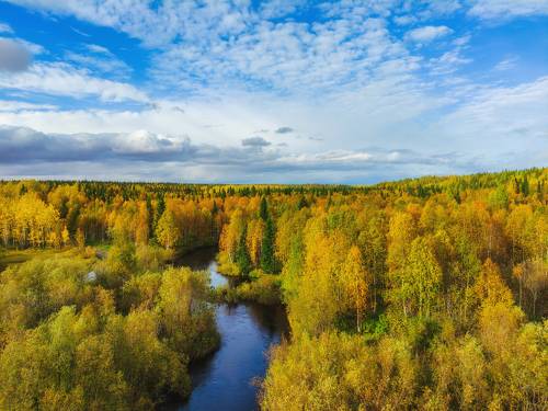 Таёжная осень
