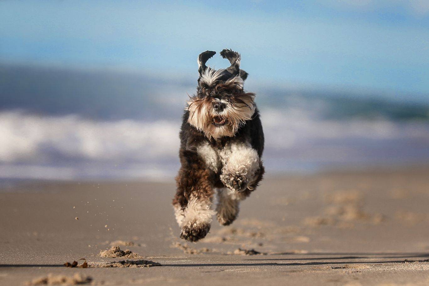 , Андрей Ершов