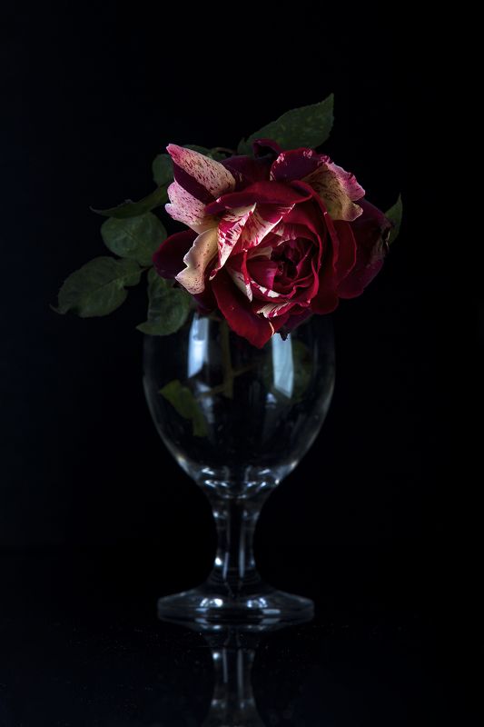 натюрморт, роза, бокал, студия Натюрморт фото превью