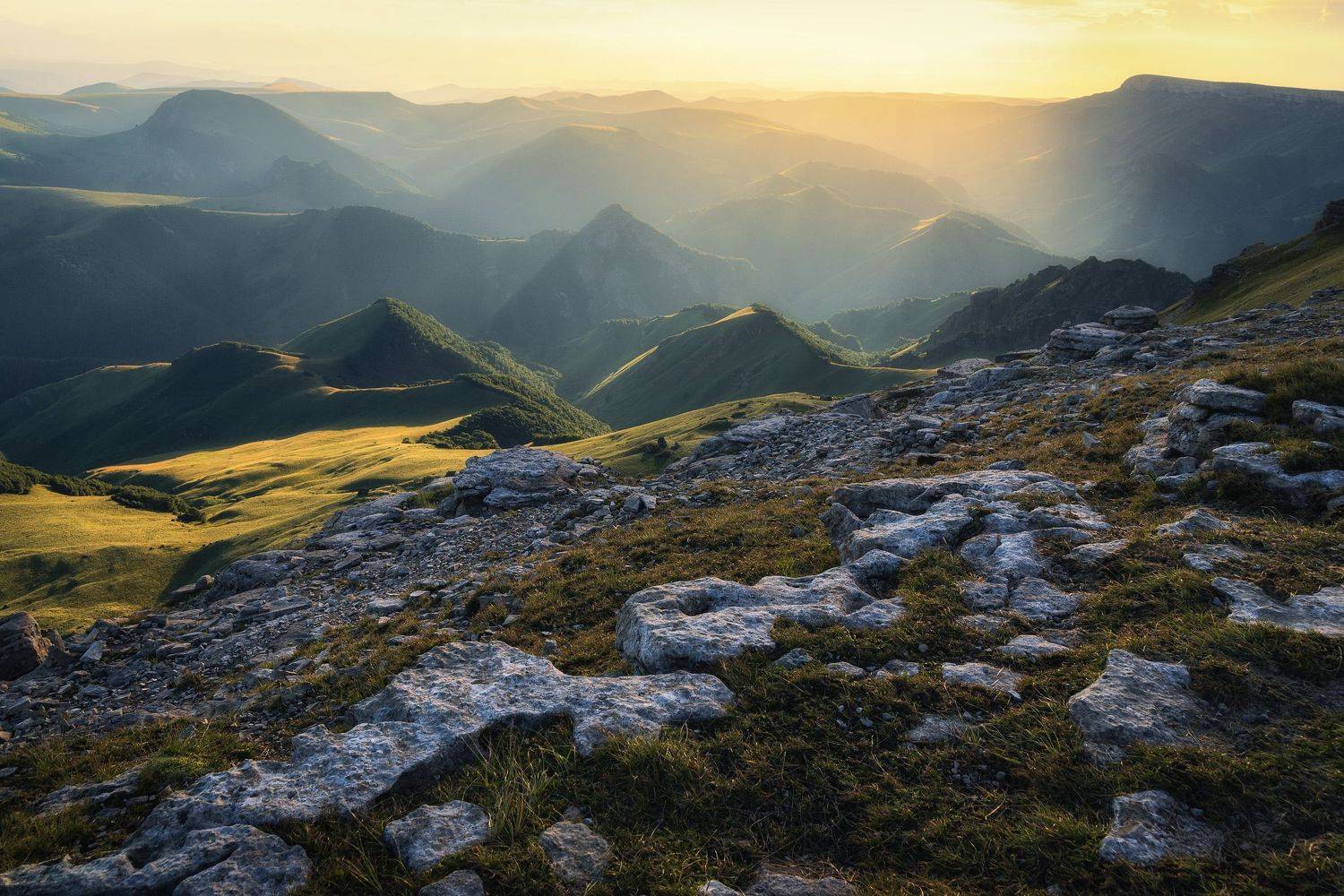 , Михаил Туркеев