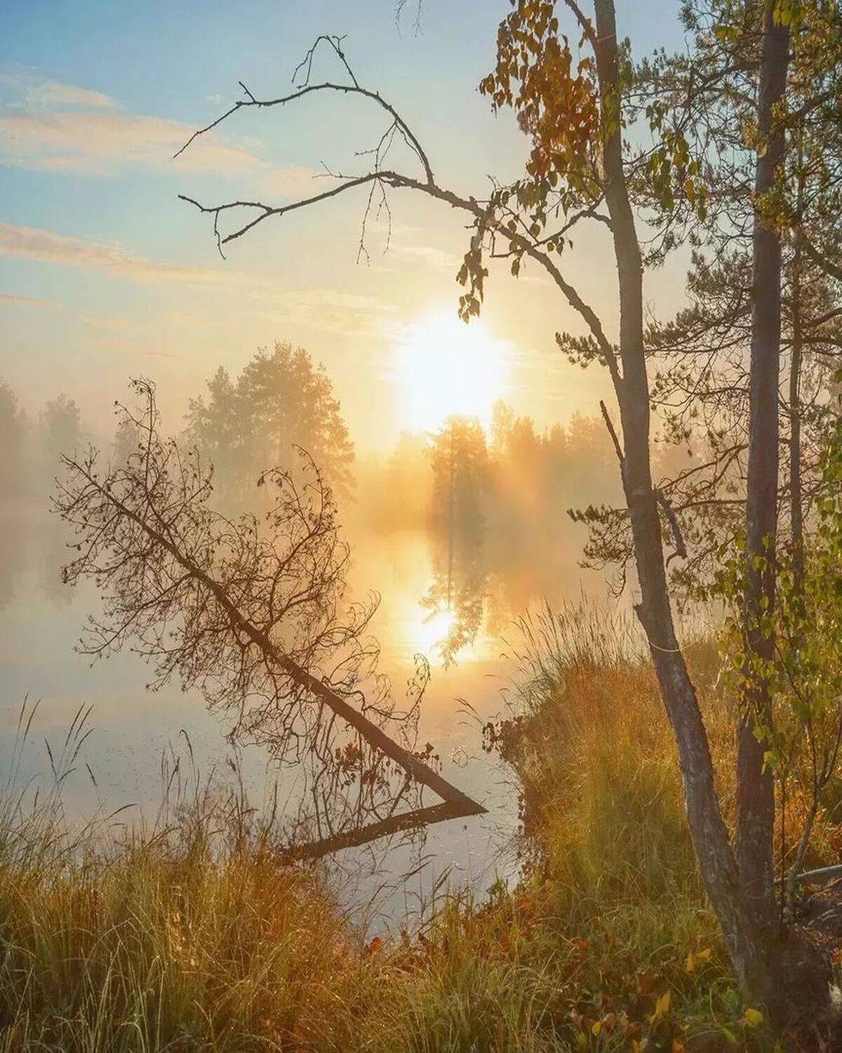 Туман, рассвет, пруд, Петр Косых