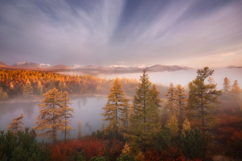 Колыма, Магадан, озеро Джека Лондона, осень, туман Утро на плато Стоозерка фото превью