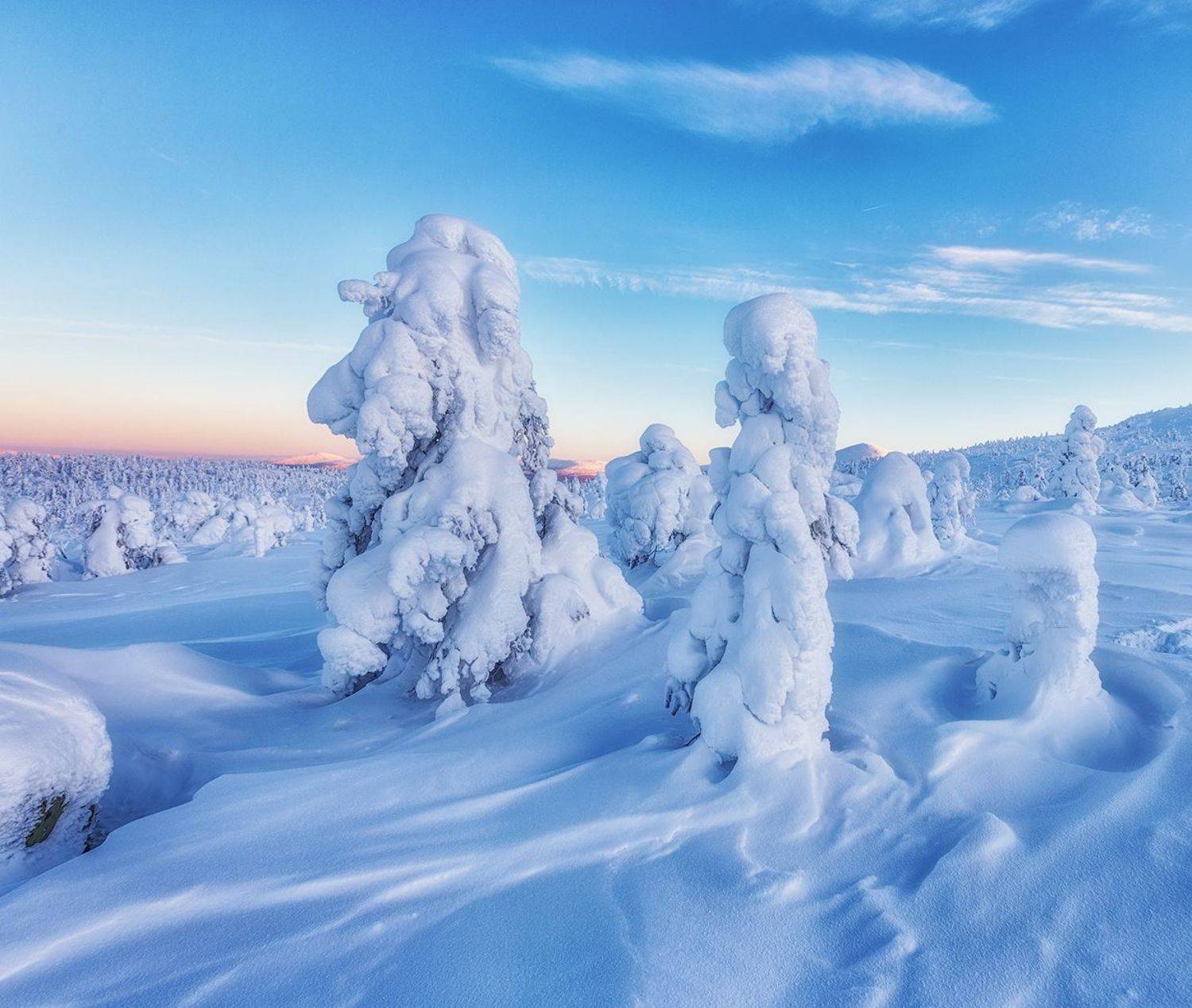 кольский, волосная, кандолакша, заполярье, Владимир Липецких