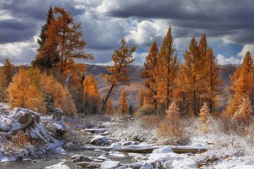 Первый снег