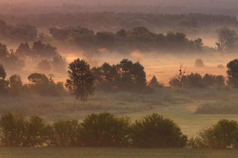 . . . фото превью