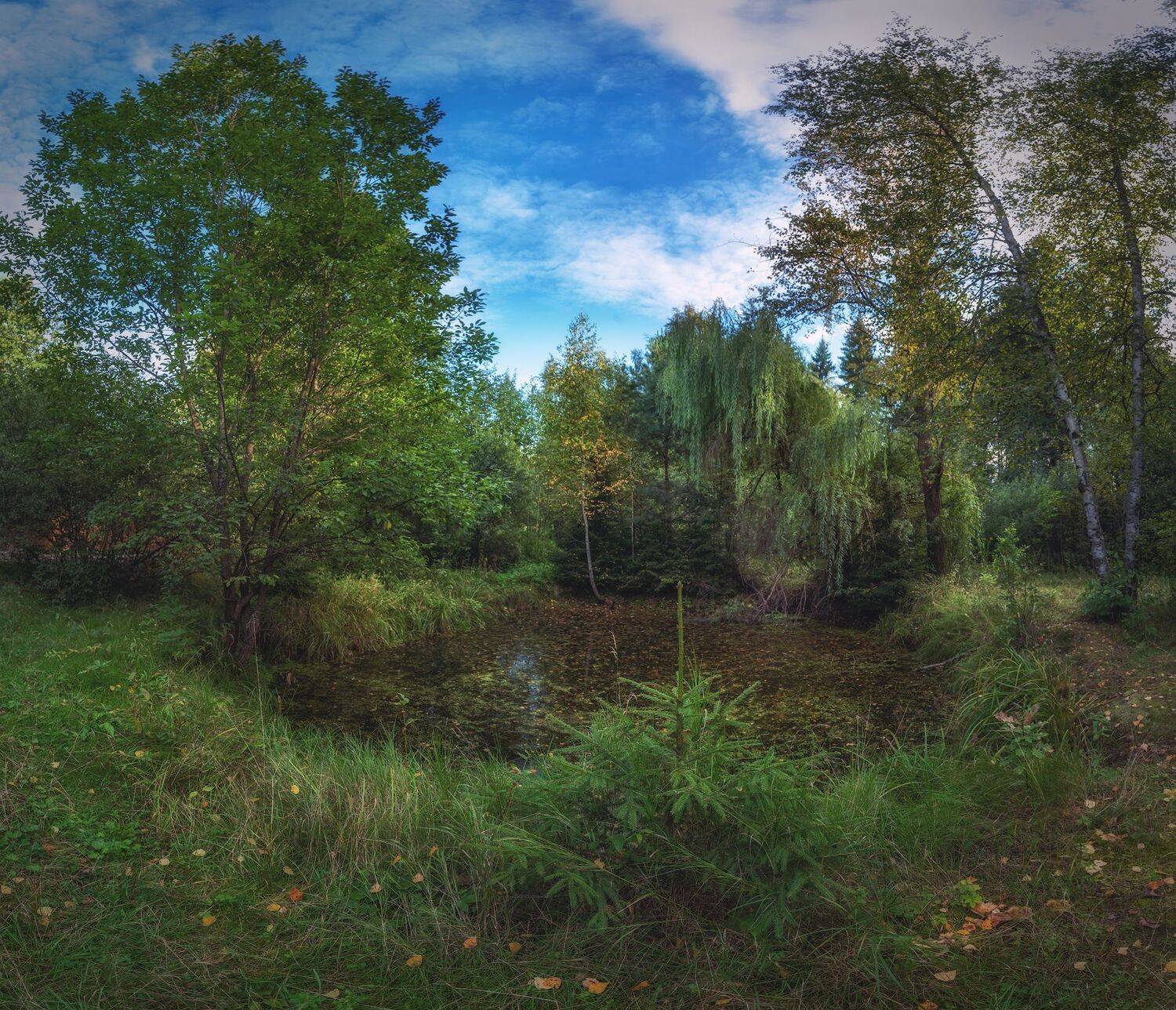 , Константин Дэм