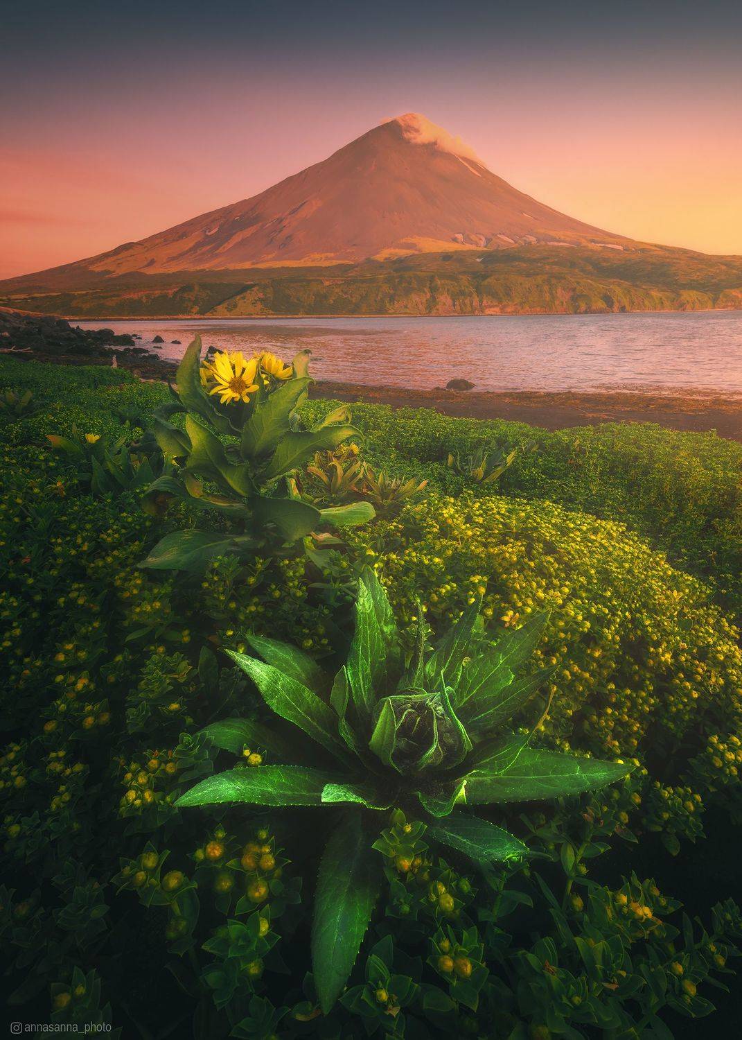 , Анна Политова