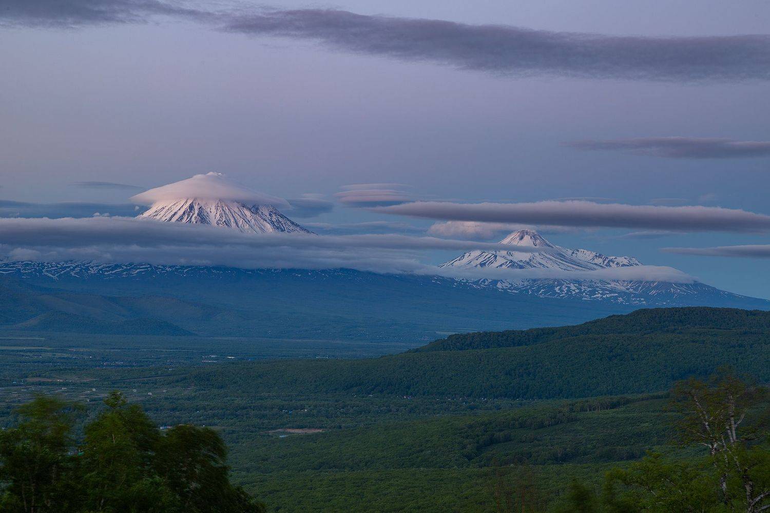 , Александр Максин