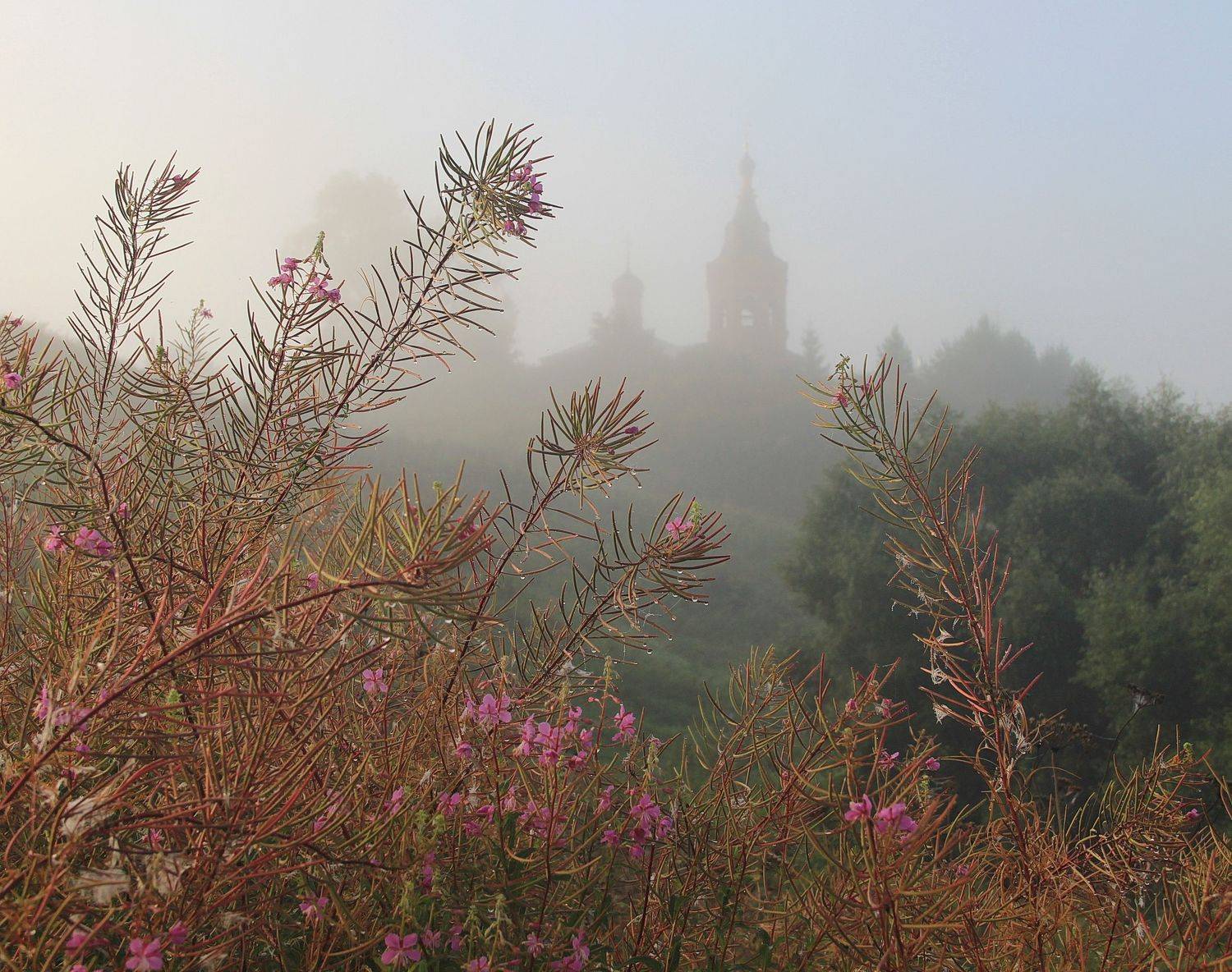 туман, рассвет, природа, цветы, пейзаж, храм, Суетинов Евгений