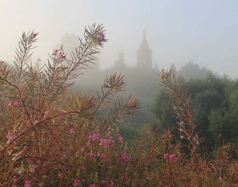 туман, рассвет, природа, цветы, пейзаж, храм Иван-Чай и Храм фото превью