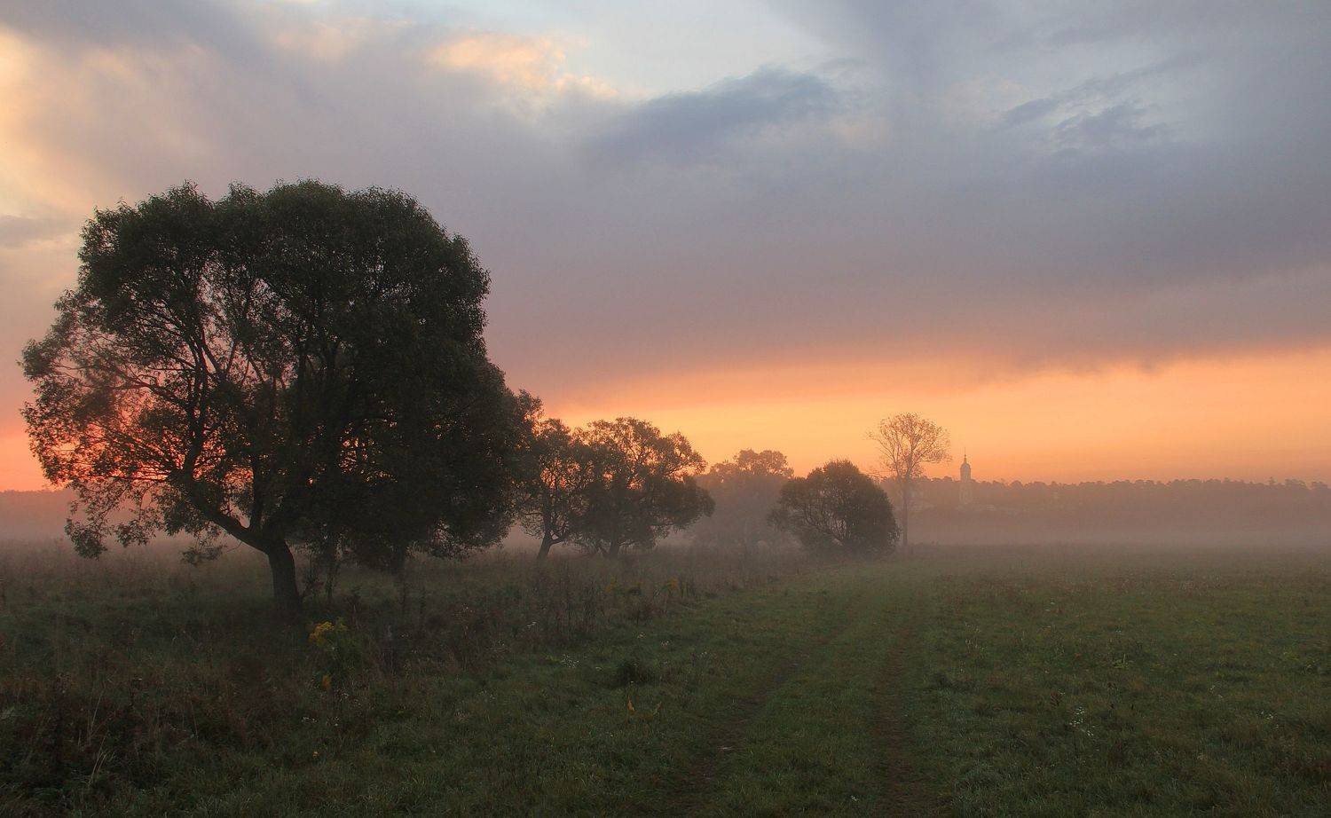 оптина, туман, осень, рассвет, природа, пейзаж, оптина пустынь, Суетинов Евгений