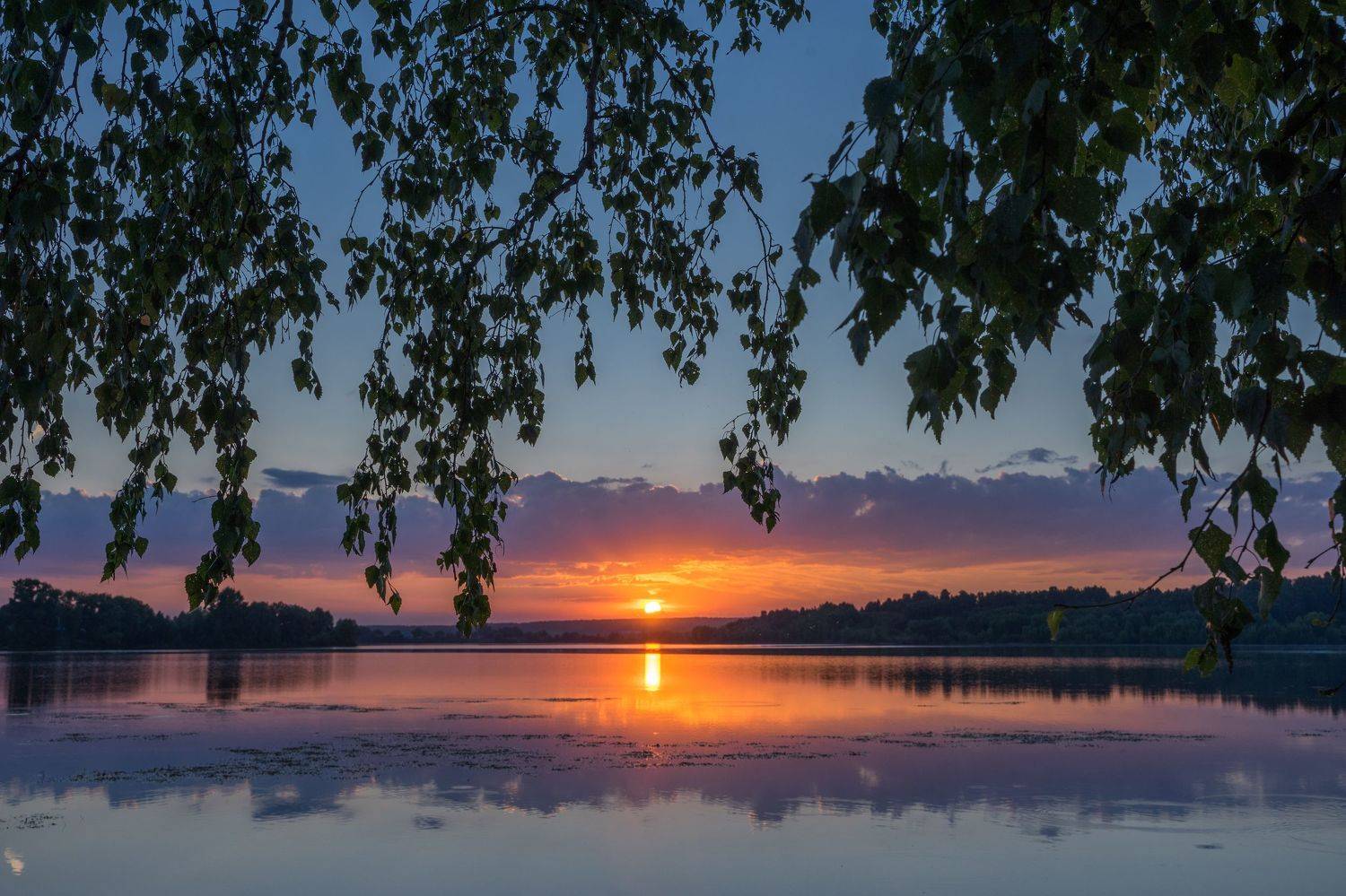 , Андрей Хаймин