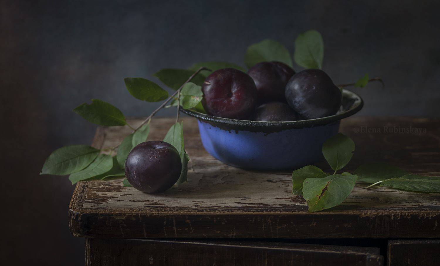 , Елена Рубинская