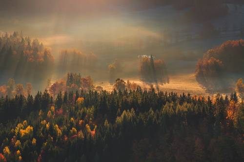 When Autumn Shines a Golden Light...