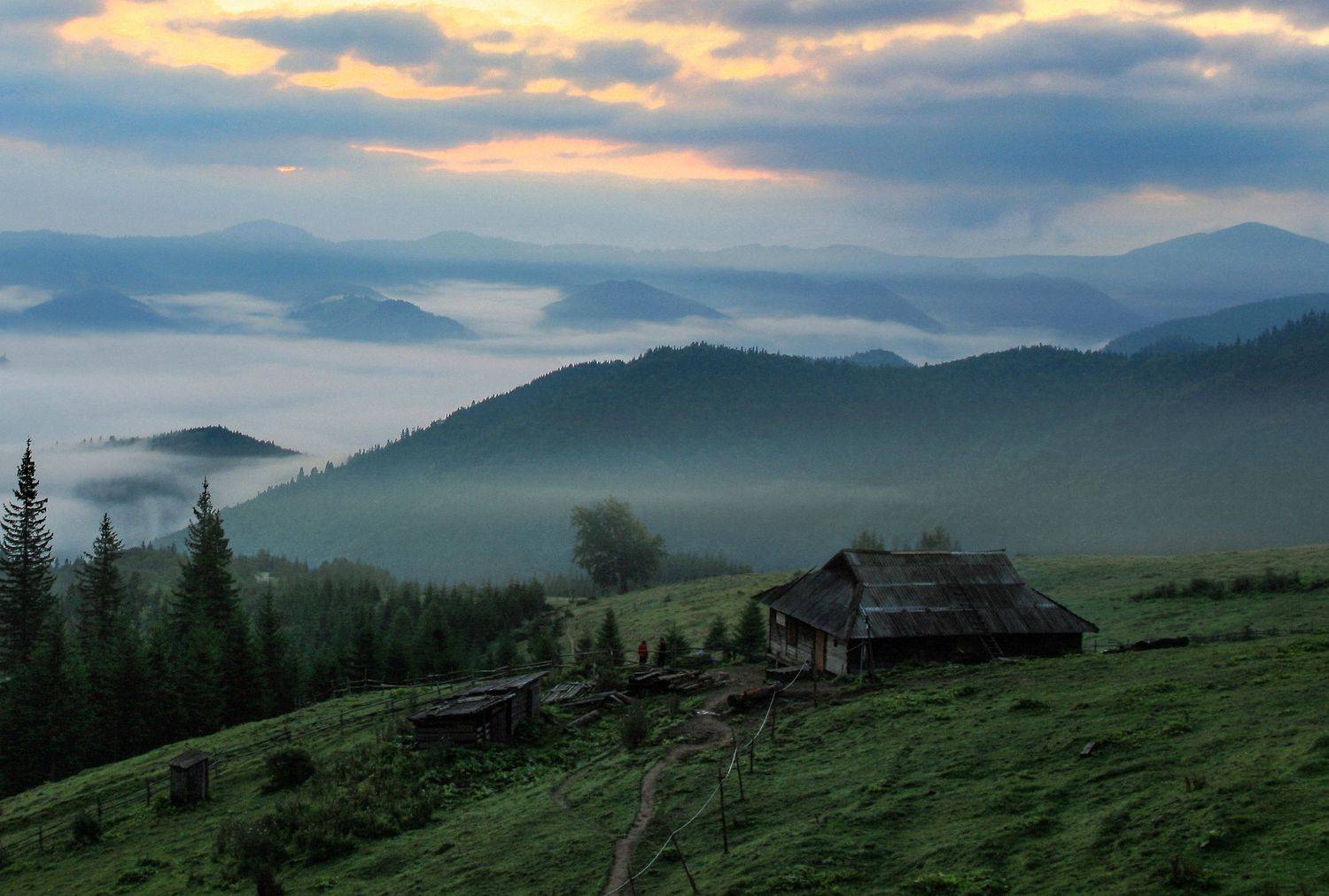 , Милокост Алексей