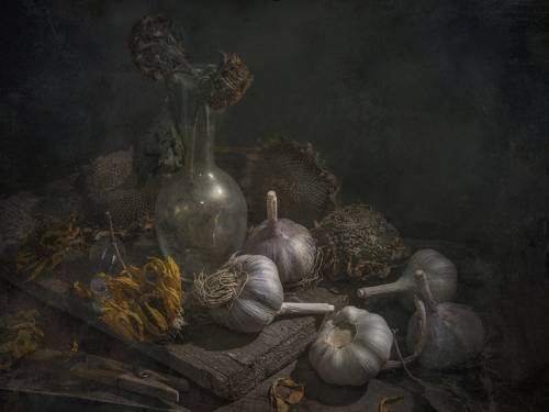 Вторая жизнь