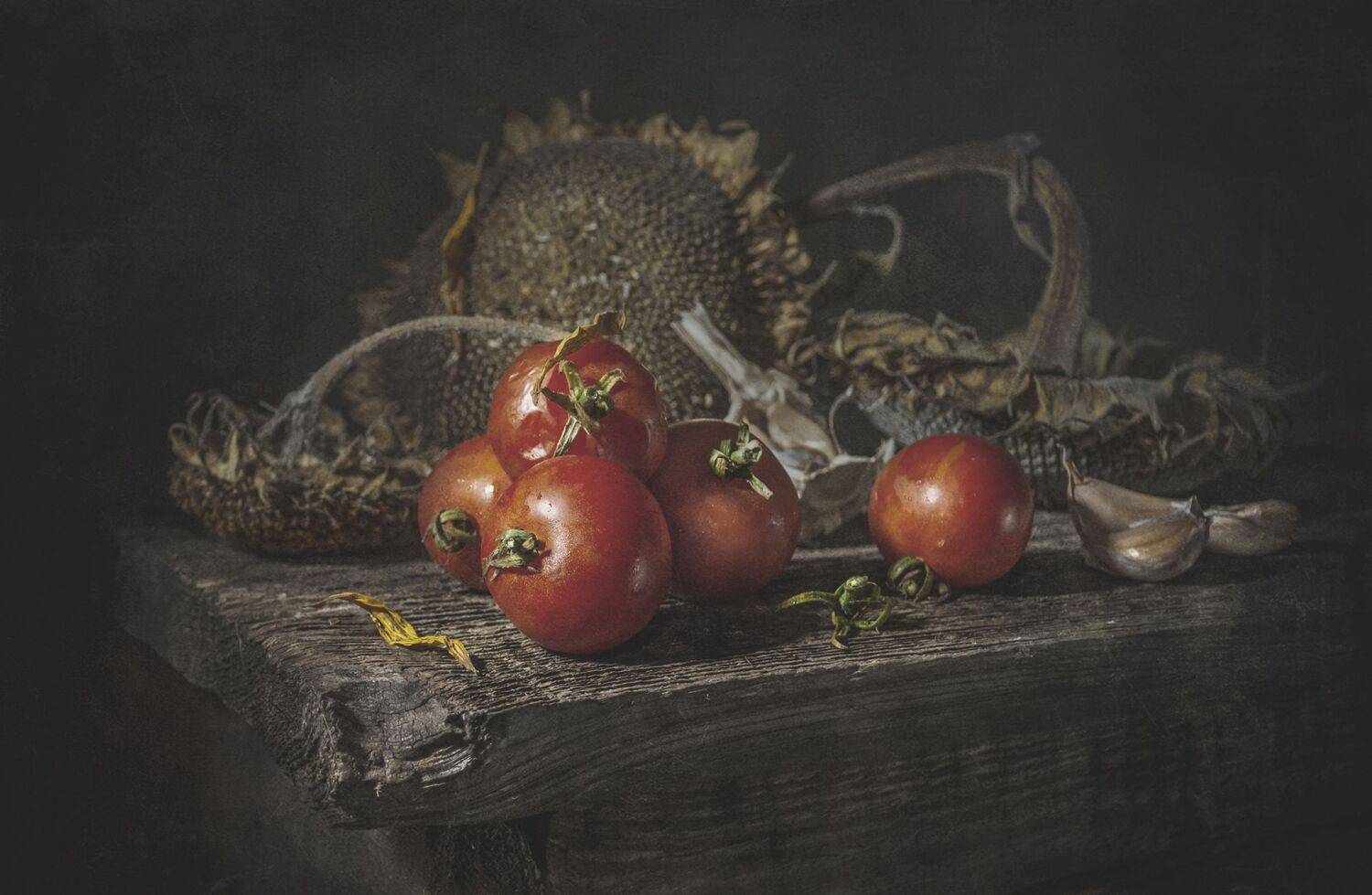 томаты,помидоры,старые,молодые,деревенский,чеснок, Владимир Володин