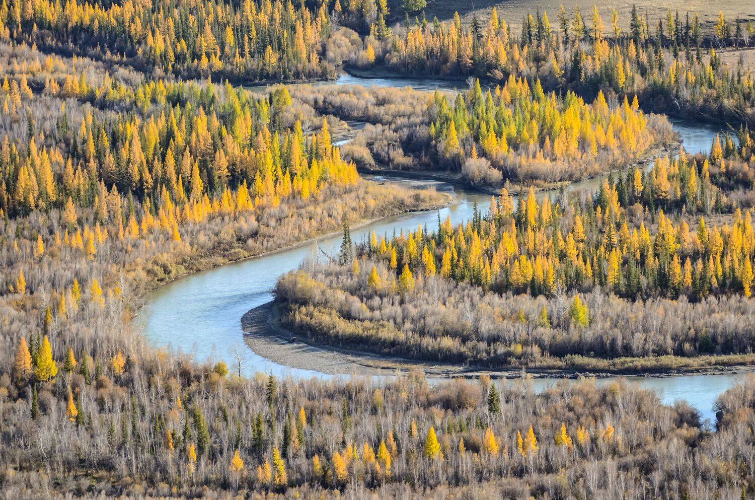 алтай, Ольга Лукахина