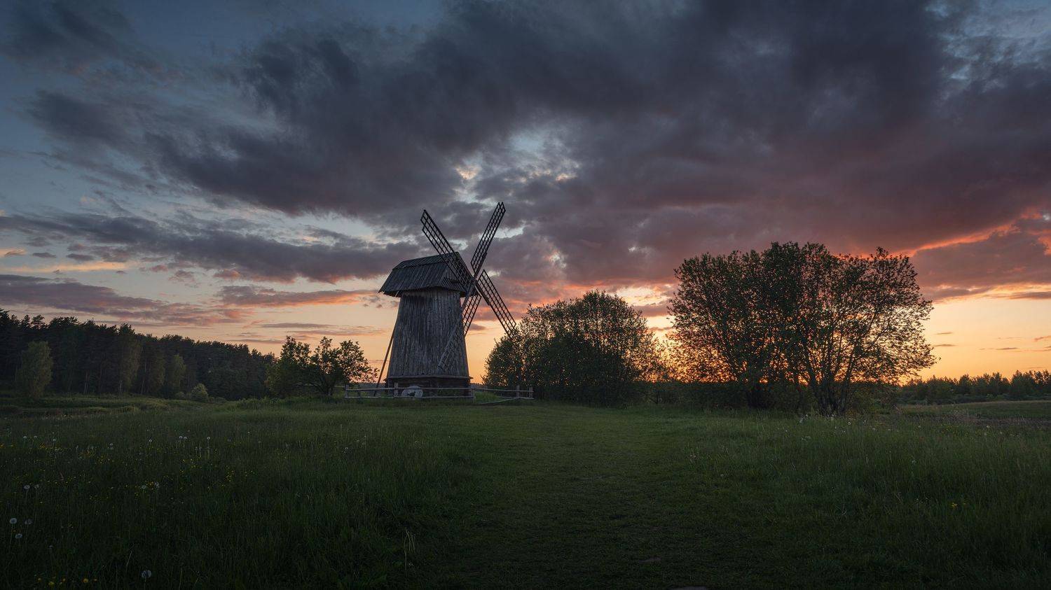 , Дмитрий Виноградов