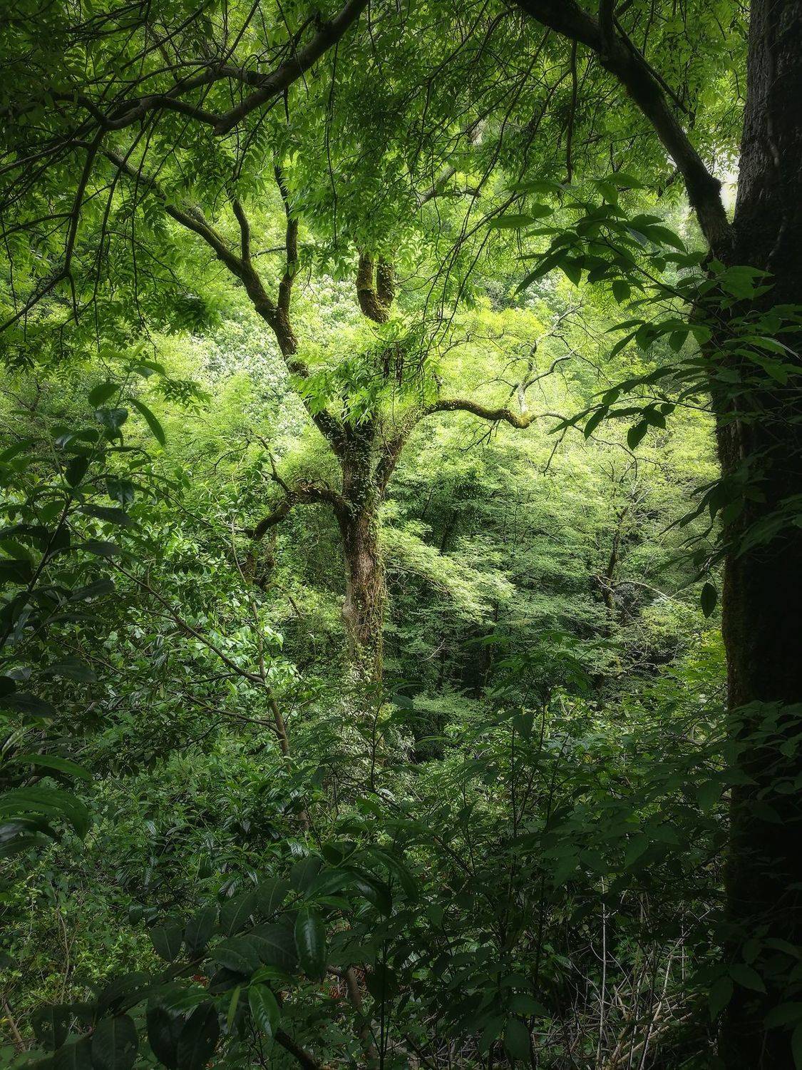 , Сергей Сергеев