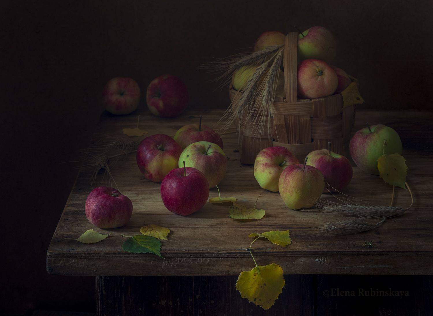 , Елена Рубинская