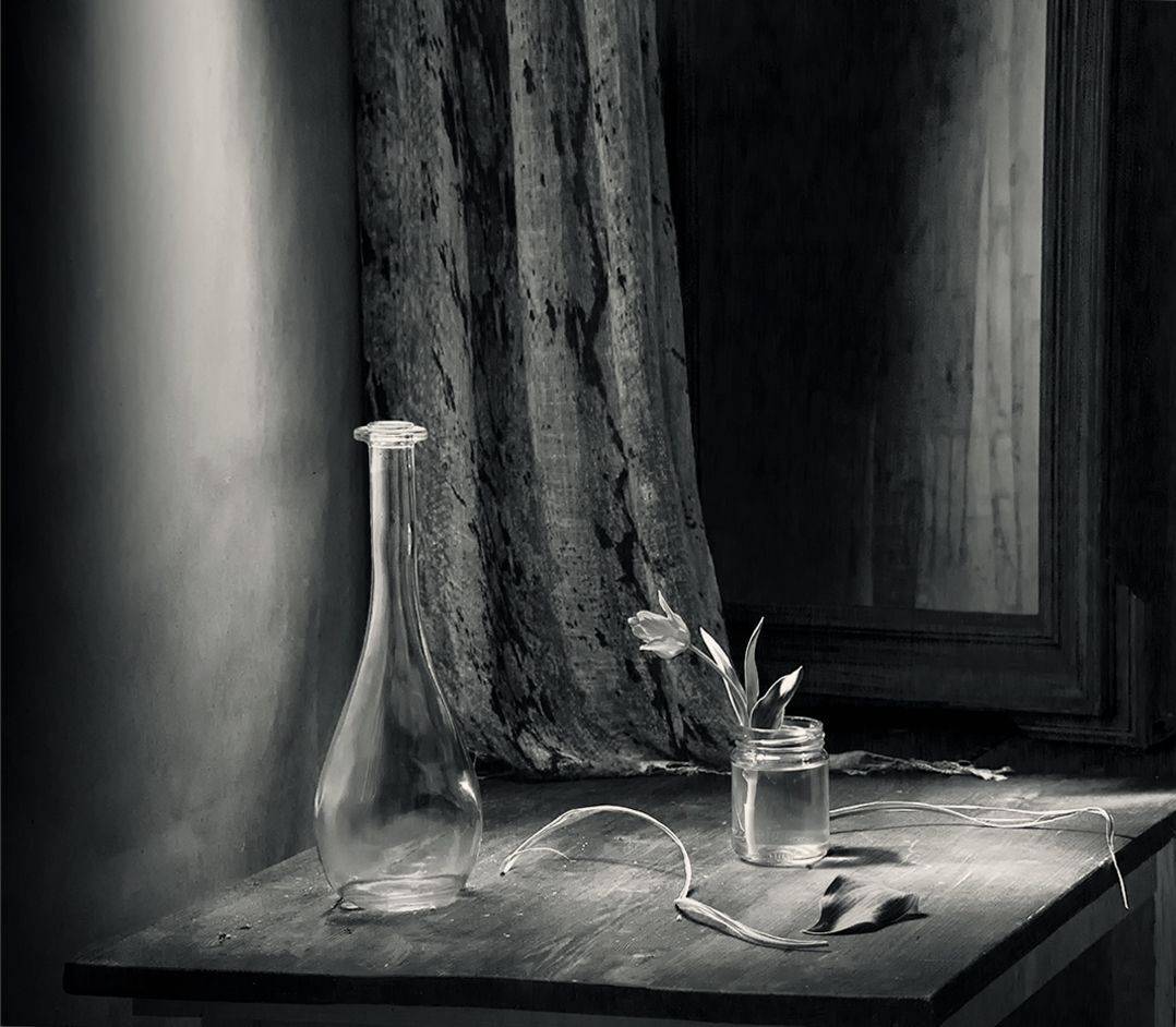 , Stein Georg