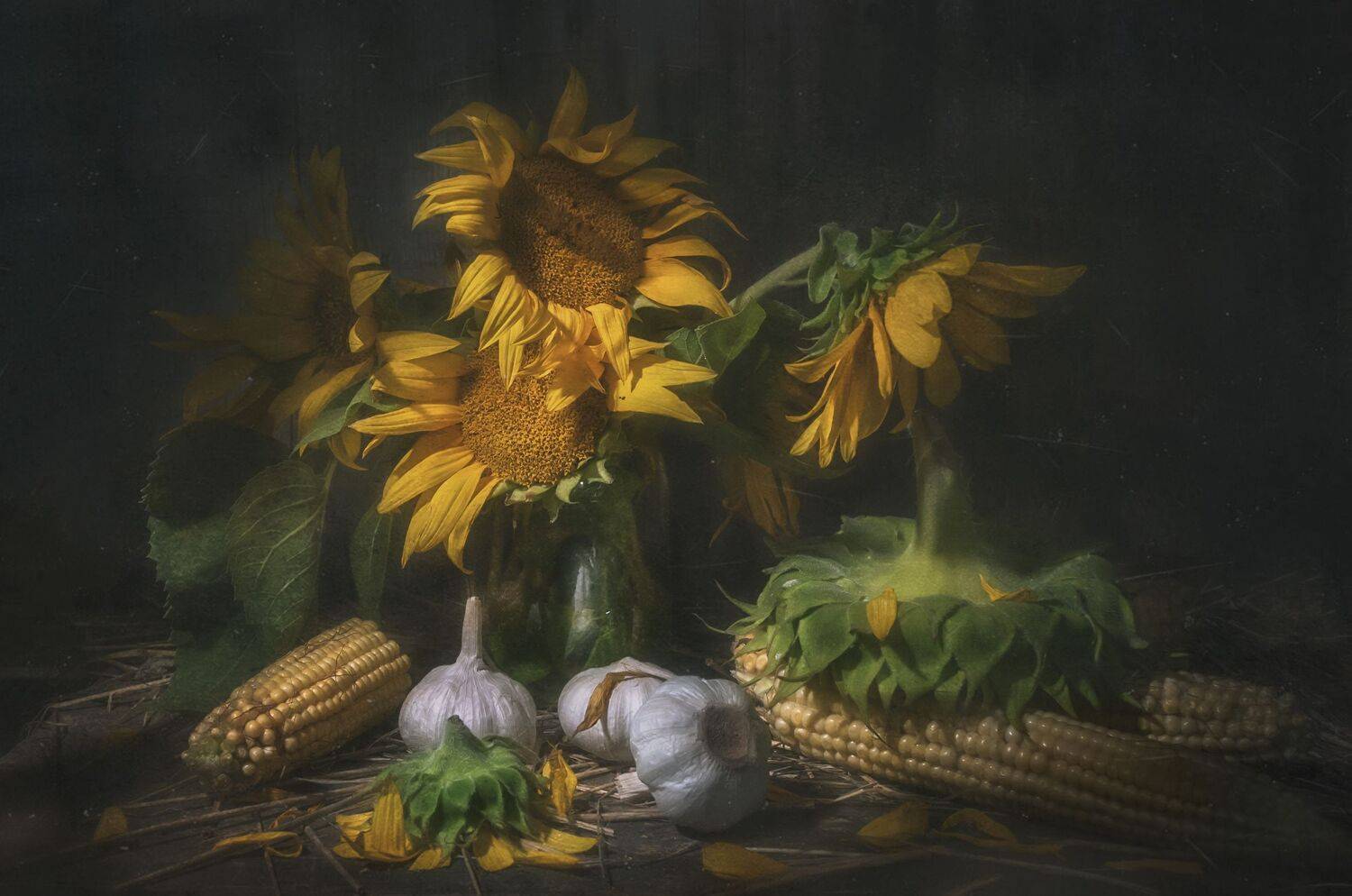 подсолнух,банка,быт,цветы,деревня,кукуруза,чеснок,лето, Владимир Володин