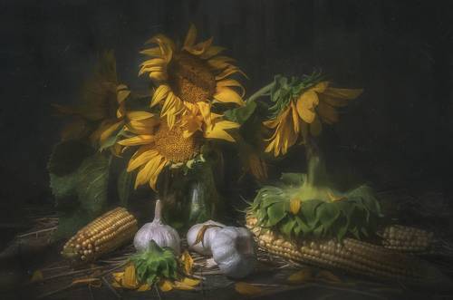 Лохматый Август