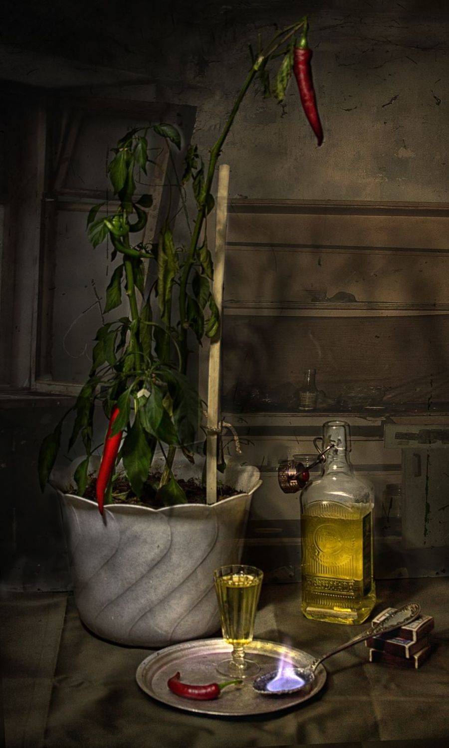 , Михаил Анисимов