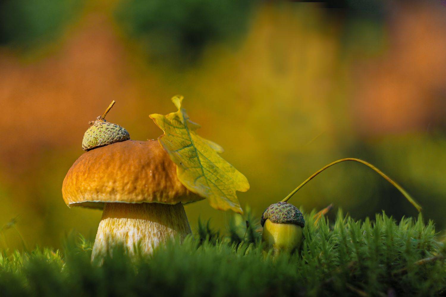 , Александра Юсупова