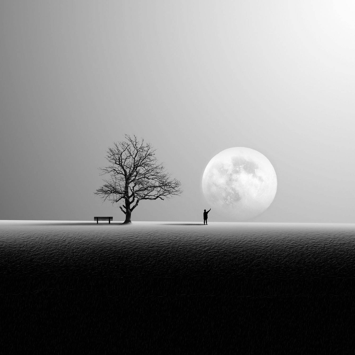 Minimal surreal , Hadi Malijani