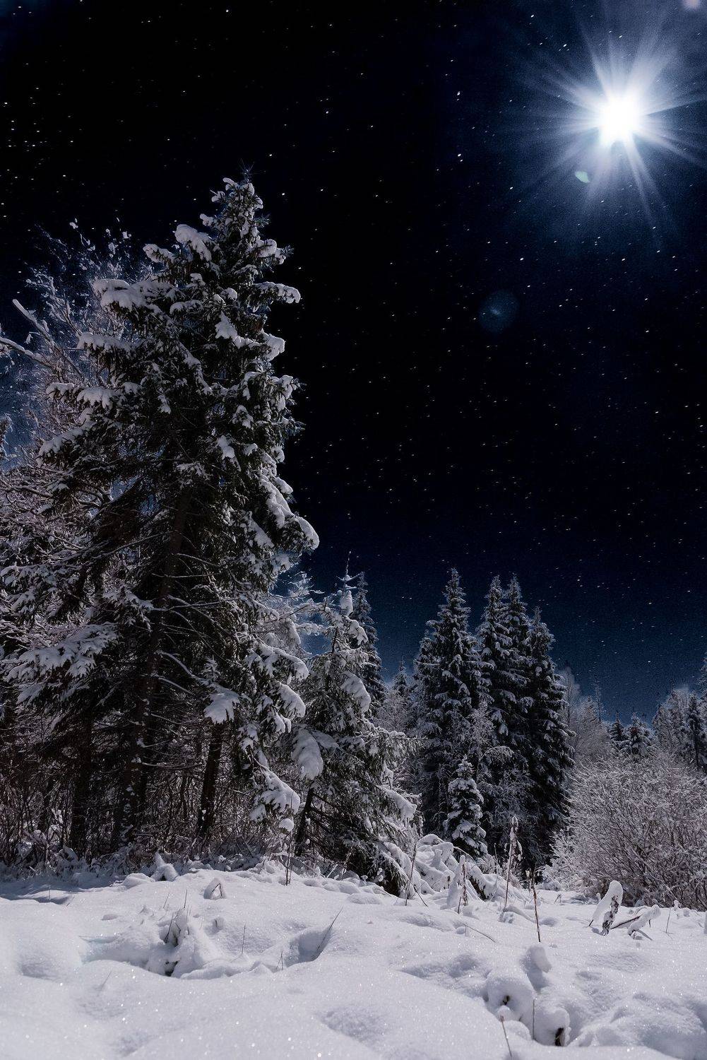 , Руслан Авдевич