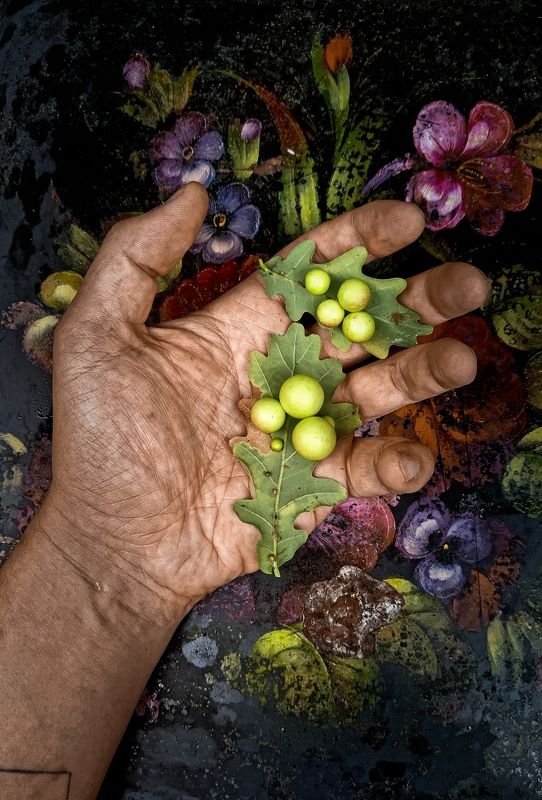 Жёлуди сфер... Артефакты леса... фото превью