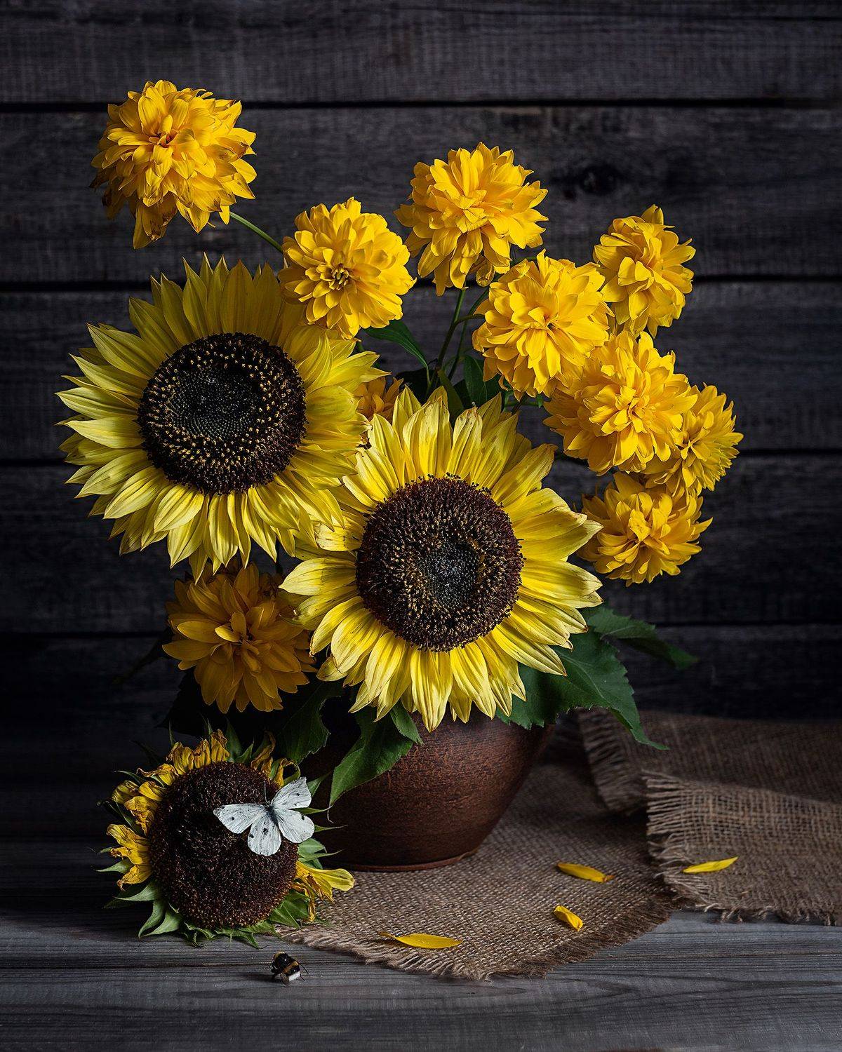 , Наталья Кабачек