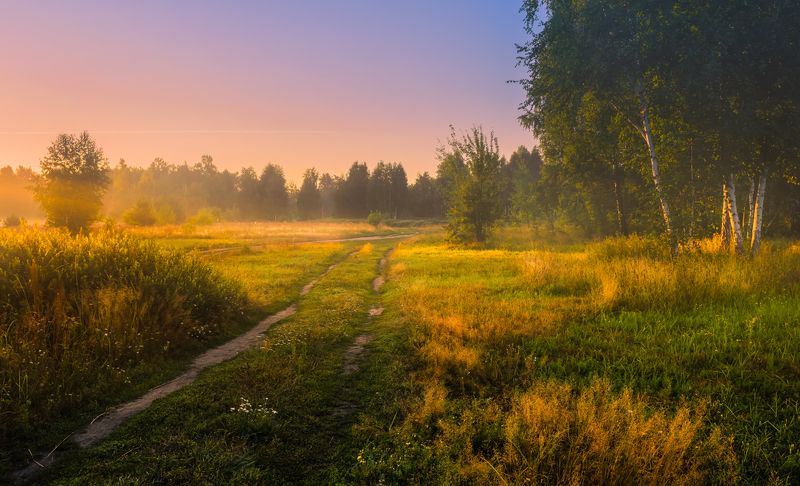 луг лето август рассвет туман О, предрассветный час, таинственная дымка! фото превью